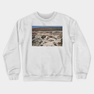 850_3864 Crewneck Sweatshirt